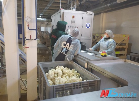 В Волгограде открыли уникальное предприятие по заморозке овощей